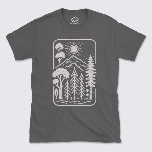 Sunlight Forest